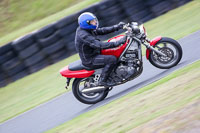 Vintage-motorcycle-club;eventdigitalimages;mallory-park;mallory-park-trackday-photographs;no-limits-trackdays;peter-wileman-photography;trackday-digital-images;trackday-photos;vmcc-festival-1000-bikes-photographs